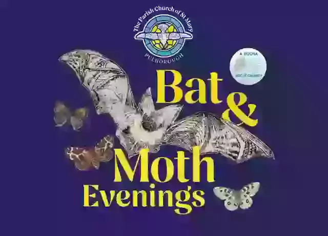 Bat & Moth Evenings